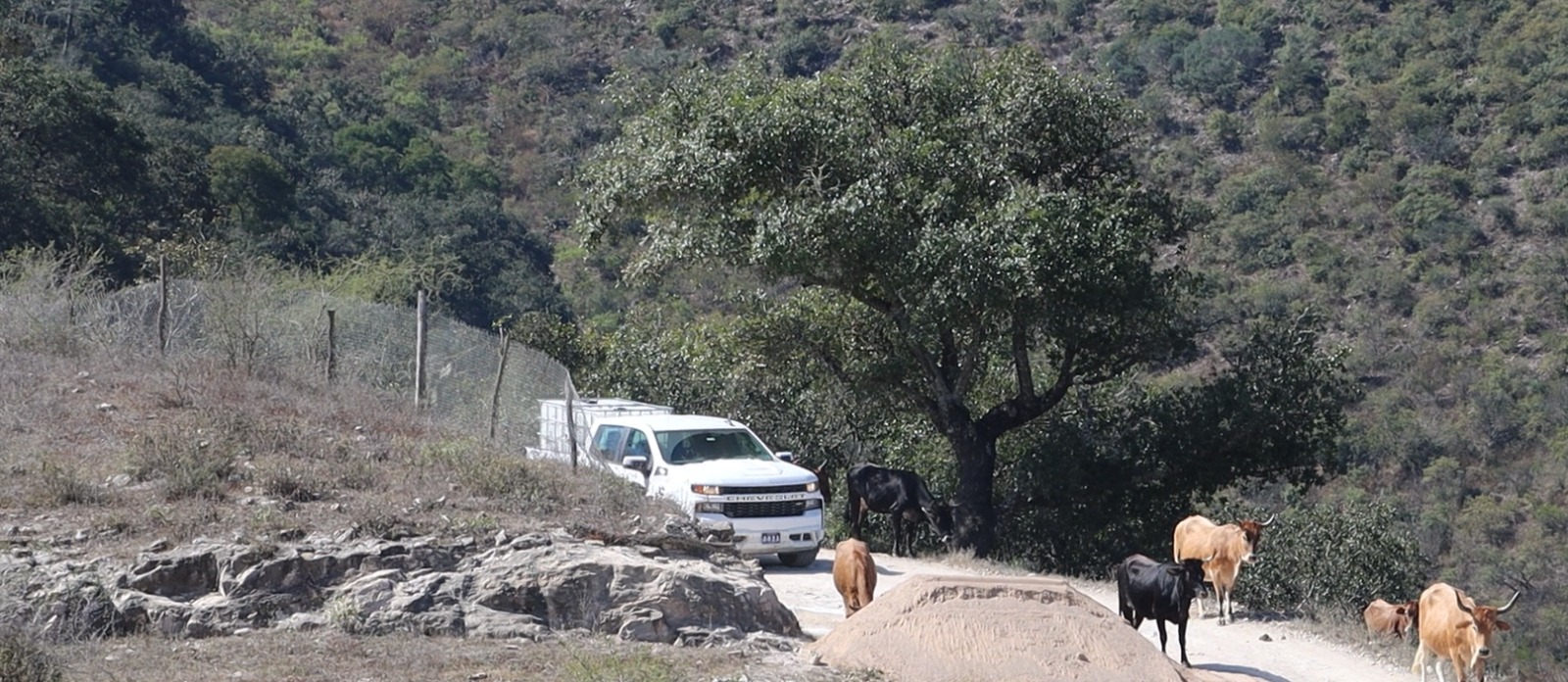 Camino de El Aguacate a San Bartolo: una deuda histórica que será saldada