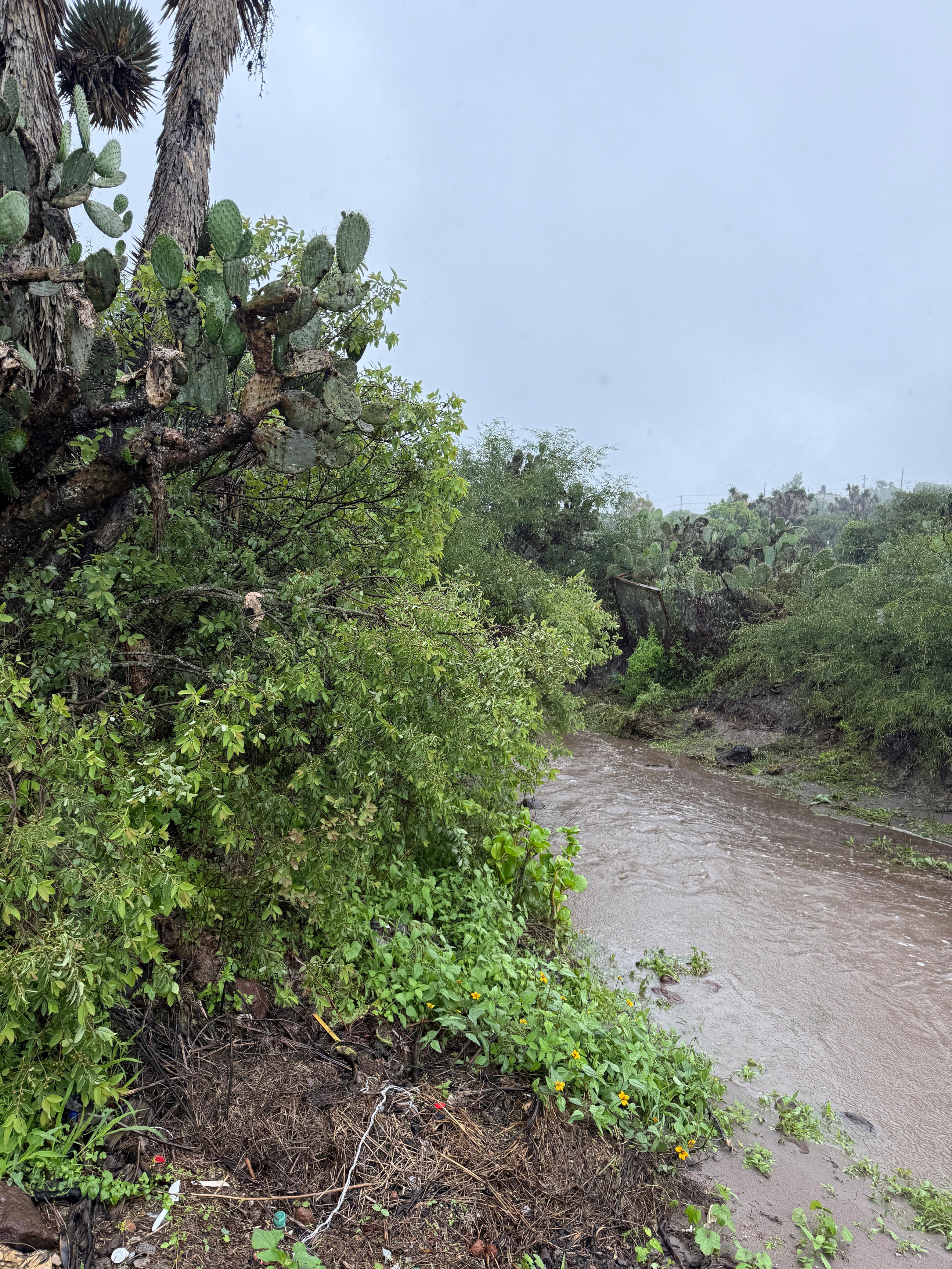 Protección Civil de Cadereyta atiende derrumbes e inundaciones por lluvia