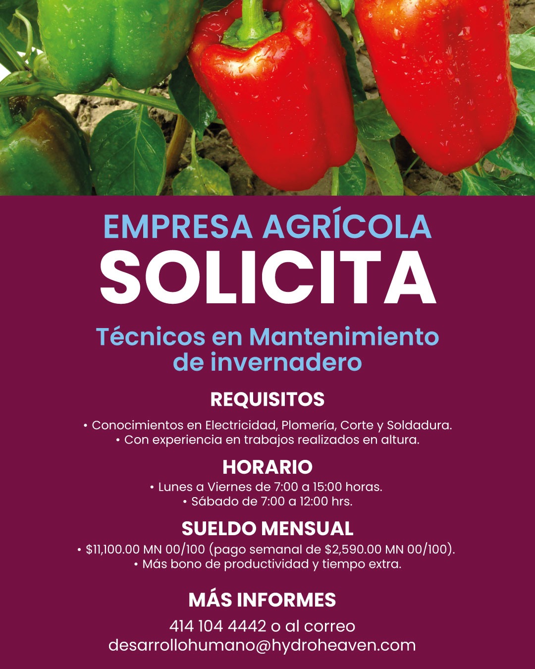 Vacantes-7-Hydroheaven